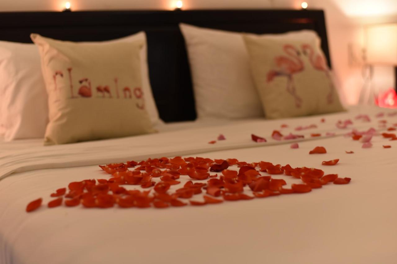 Flamingo Villa Homestay - Big Rooms With Balcony - Close To Hoi An Old Town 200M & Temple Bridge - Large Outside Pool For Sun Bathing Zewnętrze zdjęcie